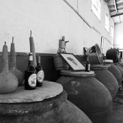 epihirisi_oinoipoio5